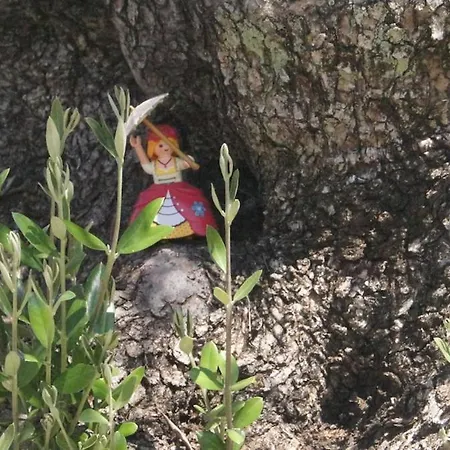 Сasa de vacaciones - Relais De Soubeille - Nature - Comminges Pyrenees